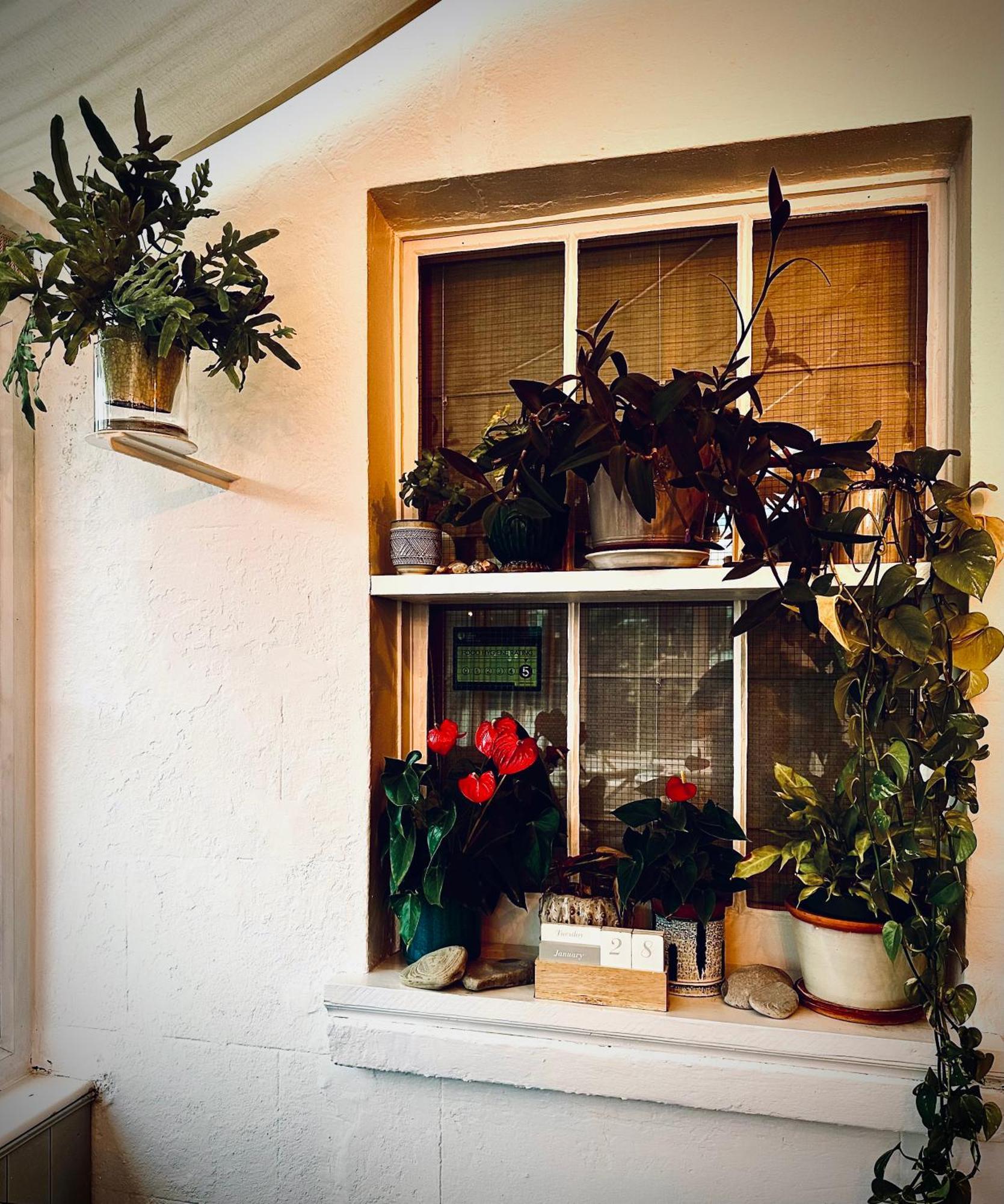 The Laindons Bed & Breakfast Hastings Exterior foto